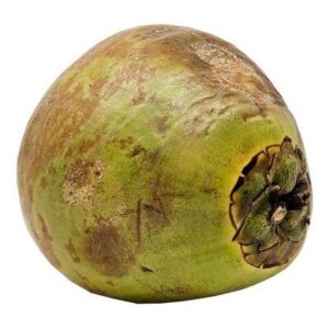 Water Coconut