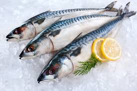 Salt Mackerel